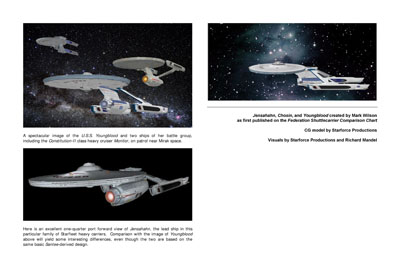 Mandel's Federation Fleet Review