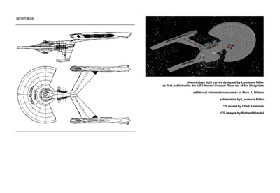 Mandel's Federation Fleet Review