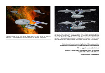 Mandel's Federation Fleet Review