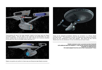Mandel's Federation Fleet Review