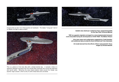 Mandel's Federation Fleet Review