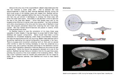 Mandel's Federation Fleet Review