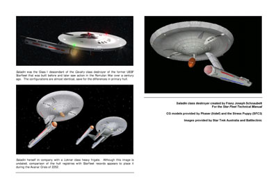 Mandel's Federation Fleet Review