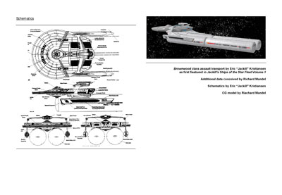 Mandel's Federation Fleet Review