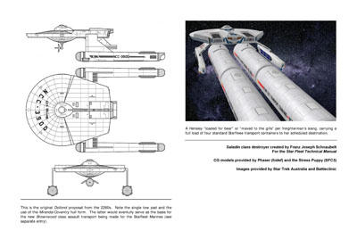 Mandel's Federation Fleet Review