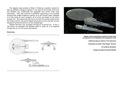 Mandel's Federation Fleet Review