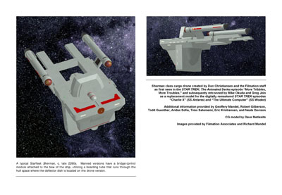 Mandel's Federation Fleet Review