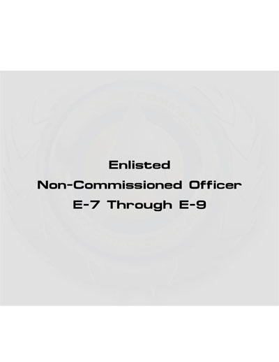 Starfleet Rank Identification and Rate Requirements Recognition Manual