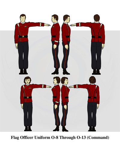 Starfleet Rank Identification and Rate Requirements Recognition Manual
