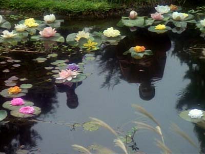 Star Trek: Deep Space Nine Screencaps "Meridian" (S3:E8)