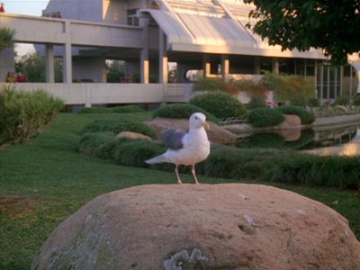 Star Trek: Deep Space Nine Screencaps "Homefront" (S4:E11)