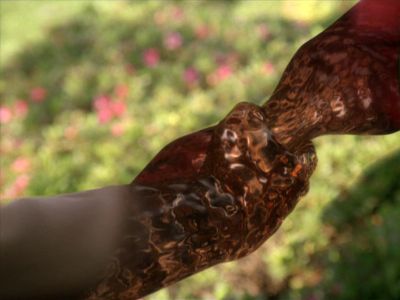 Star Trek: Deep Space Nine Screencaps "Homefront" (S4:E11)