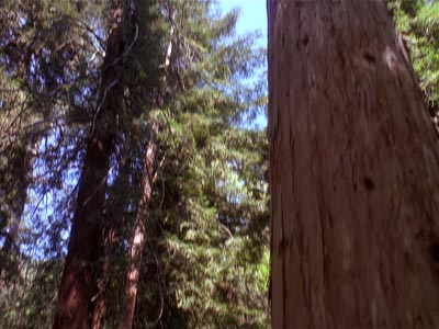 Star Trek: Deep Space Nine Screencaps "To the Death" (S4:E23)