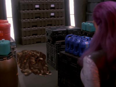 Star Trek: Deep Space Nine Screencaps "Broken Link" (S4:E26)