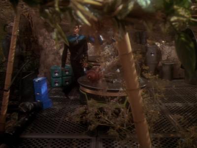 Star Trek: Deep Space Nine Screencaps "Hippocratic Oath" (S4:E4)