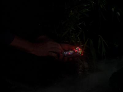 Star Trek: Deep Space Nine Screencaps "Hippocratic Oath" (S4:E4)