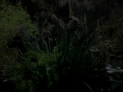 Star Trek: Deep Space Nine Screencaps "Hippocratic Oath" (S4:E4)