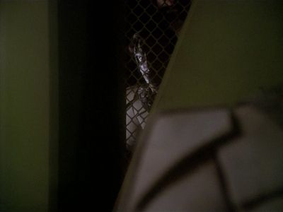 Star Trek: Deep Space Nine Screencaps "Indiscretion" (S4:E5)