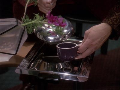 Star Trek: Deep Space Nine Screencaps "Rejoined" (S4:E6)