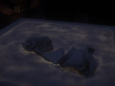 Star Trek: Deep Space Nine Screencaps "The Sword of Kahless" (S4:E9)