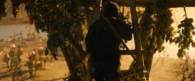 Star Trek: Section 31 Screencaps