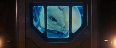 Star Trek: Section 31 Screencaps