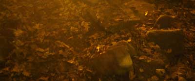 Star Trek: Section 31 Screencaps