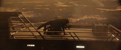Star Trek: Section 31 Screencaps