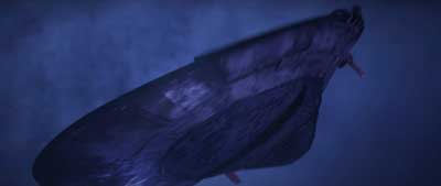 Star Trek: Prodigy Screencaps "Last Flight of the Protostar, Part II" (S2:E12)