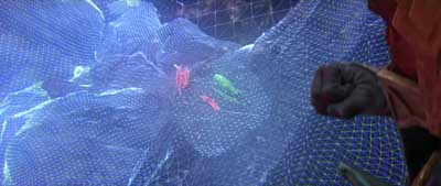 Star Trek: Prodigy Screencaps "The Fast and the Curious" (S2:E7)