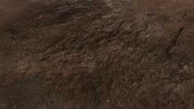 Star Trek: Scouts Screencaps "Holodeck Rescues, Part 3" (S1:E13)