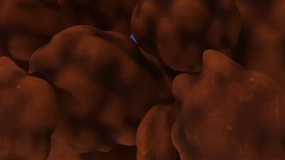Star Trek: Scouts Screencaps "Asteroid Blasters, Part 2" (S1:E2)