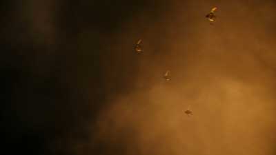 Star Trek: Starfleet Academy ScreenCaps "Vitus Reflux" (S1:E3)