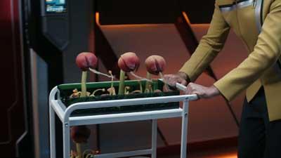 Star Trek: Starfleet Academy ScreenCaps "Vitus Reflux" (S1:E3)