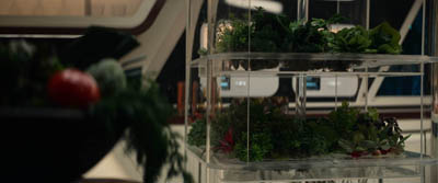 Star Trek: Strange New Worlds ScreenCaps "Charades" (S2:E5)