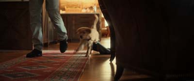 Star Trek: Strange New Worlds ScreenCaps "New Life and New Civilizations" (S3:E10)
