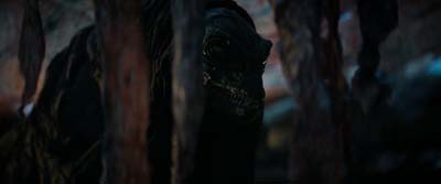 Star Trek: Strange New Worlds ScreenCaps "Terrarium" (S3:E9)