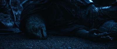 Star Trek: Strange New Worlds ScreenCaps "Terrarium" (S3:E9)