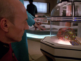 "The Host" (S4:E23) Star Trek: The Next Generation Screencaps