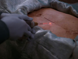 "The Host" (S4:E23) Star Trek: The Next Generation Screencaps