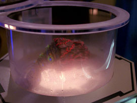 "The Host" (S4:E23) Star Trek: The Next Generation Screencaps