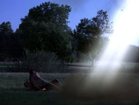 "Silicon Avatar" (S5:E4) Star Trek: The Next Generation Screencaps