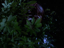 "Birthright, Part I" (S6:E16) Star Trek: The Next Generation Screencaps