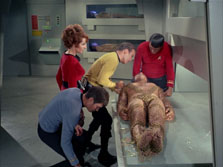 "Space Seed" (S1:E22) Star Trek: The Original Series Screencaps