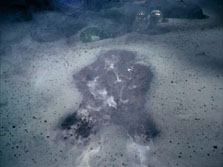 "The Devil In The Dark" (S1:E25) Star Trek: The Original Series Screencaps