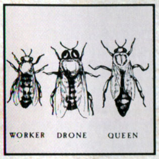 Rush Counterparts Album Artwork