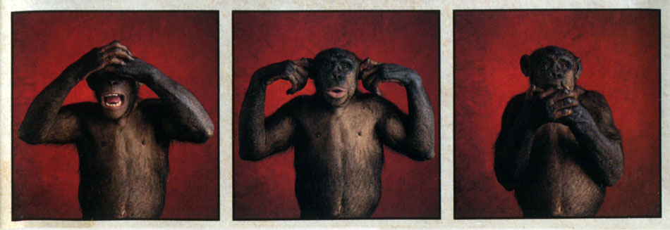Rush Counterparts Album Artwork