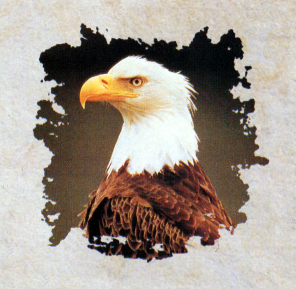 Rush Counterparts Album Artwork