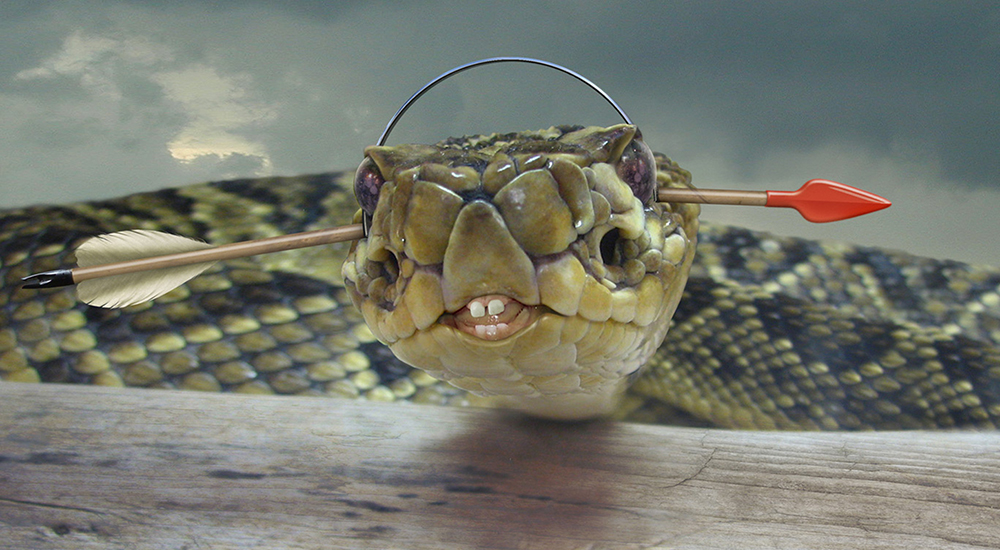 Rush Snakes & Arrows
