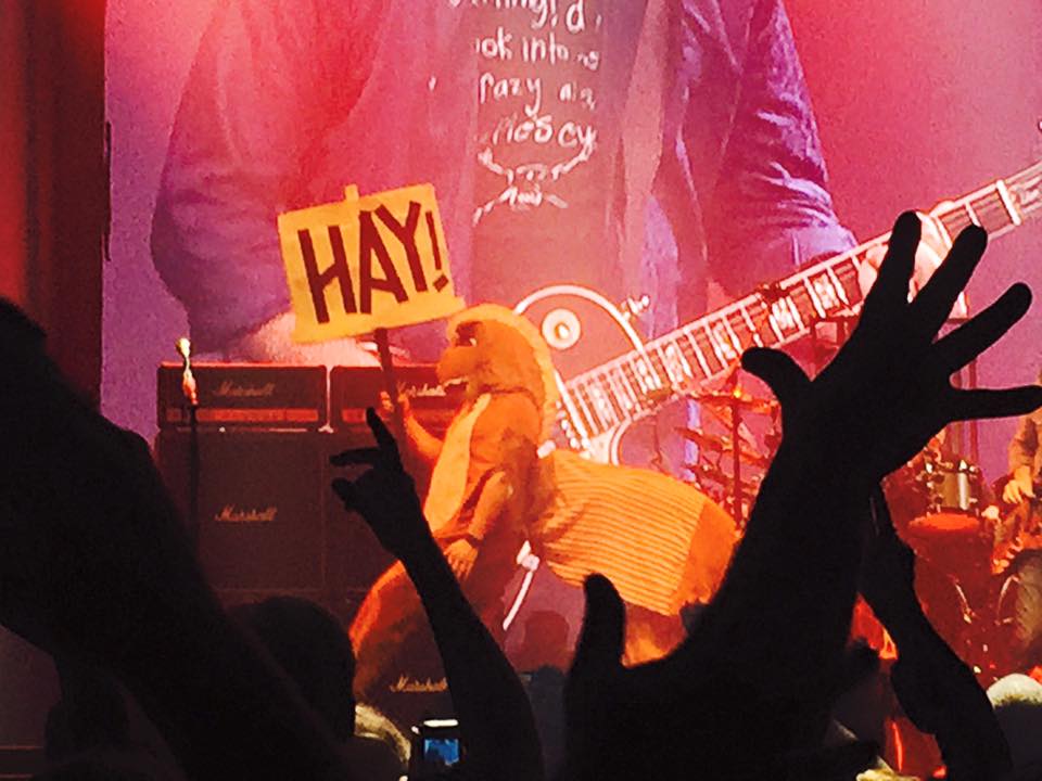 Rush 'R40 Live 40th Anniversary' Tour Pictures - San Jose, CA 07/23/2015